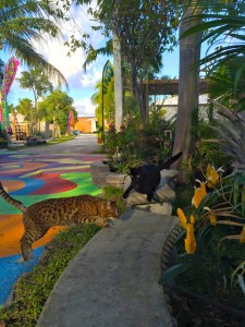 11046191_712400282209537_3925962792579917725_n